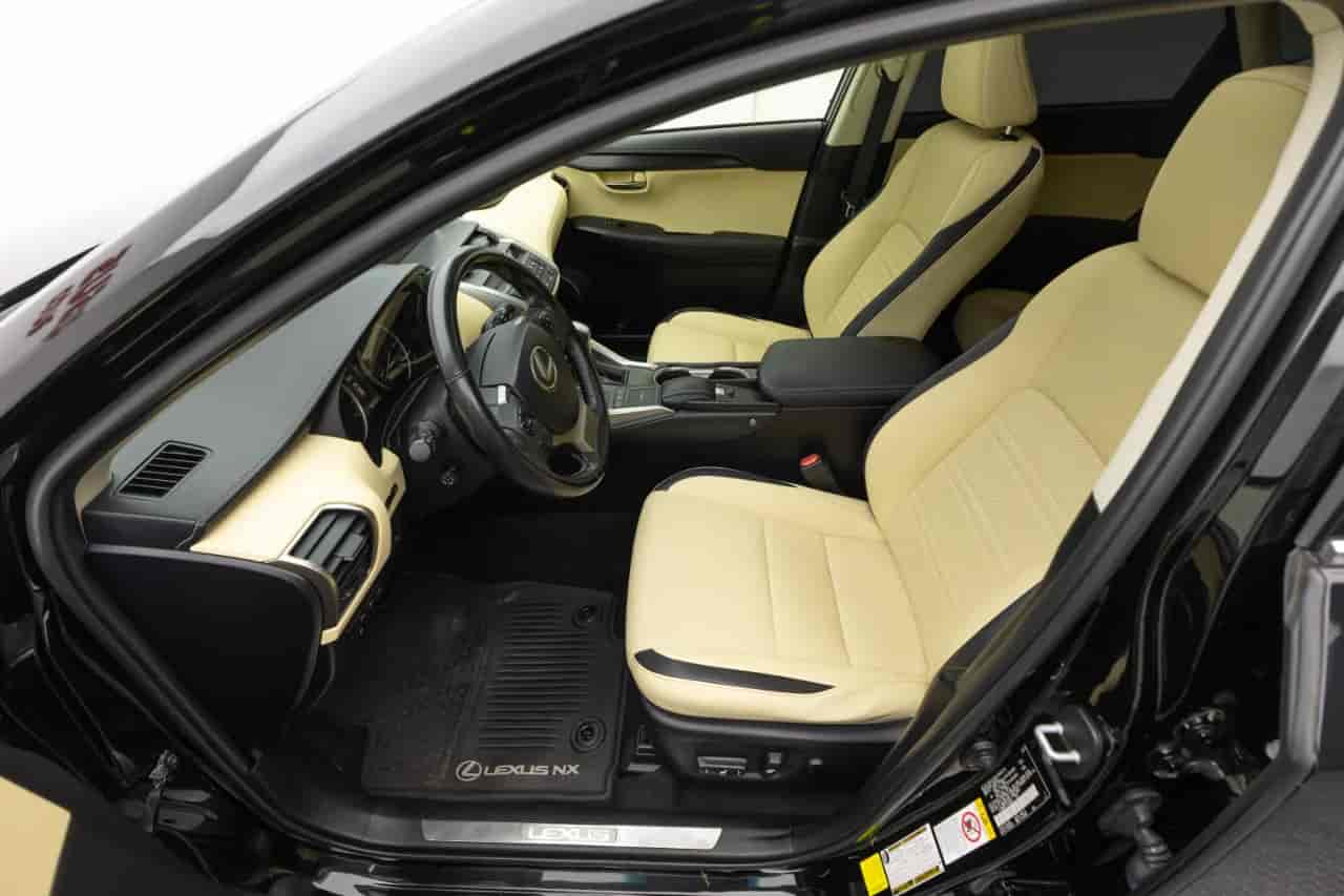 LEXUS NX - 10