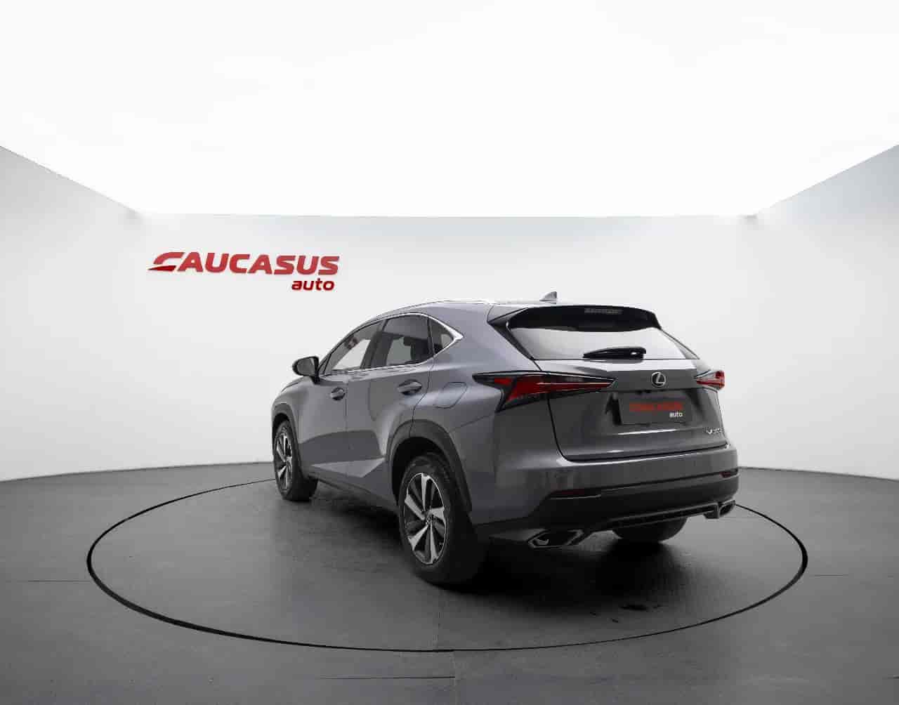 LEXUS NX - 6