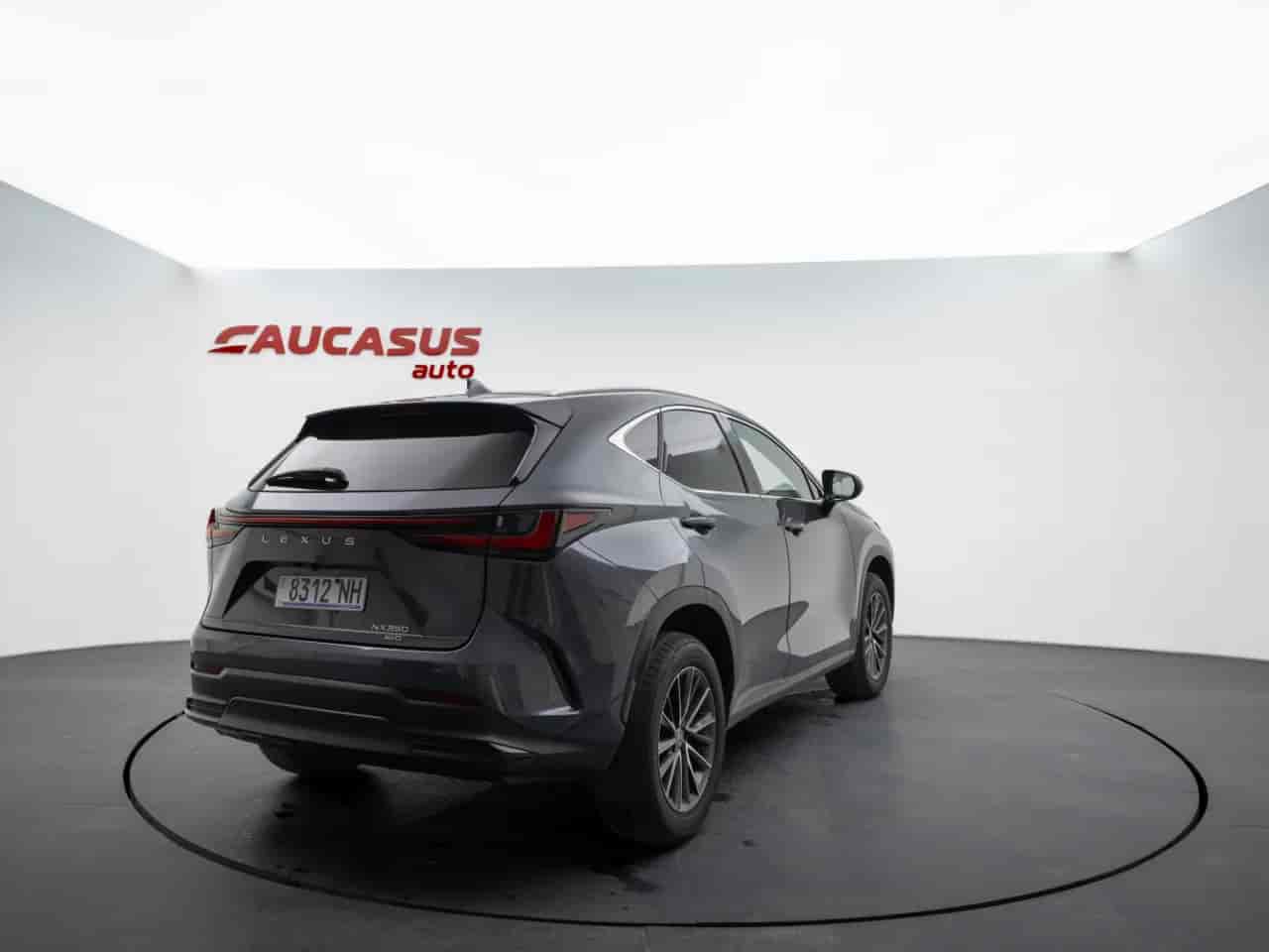 LEXUS NX - 4
