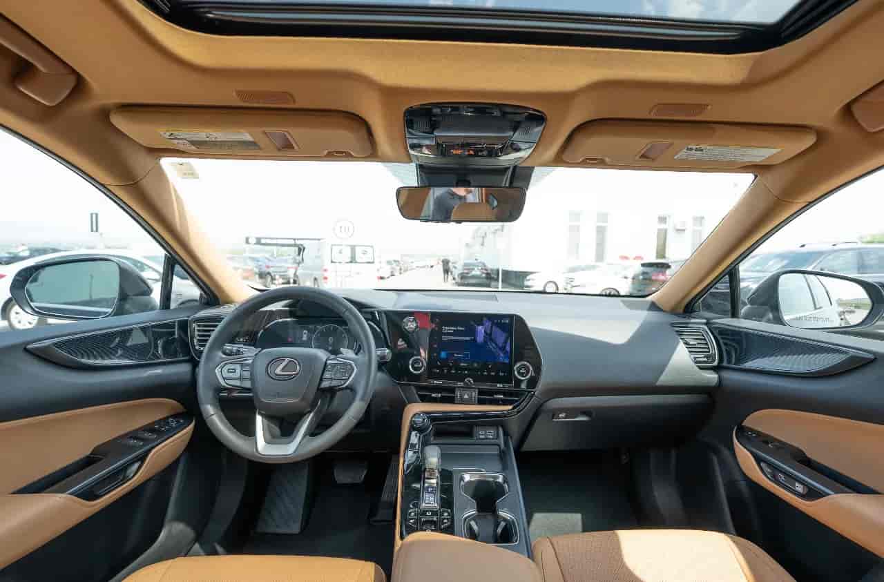 LEXUS NX - 10