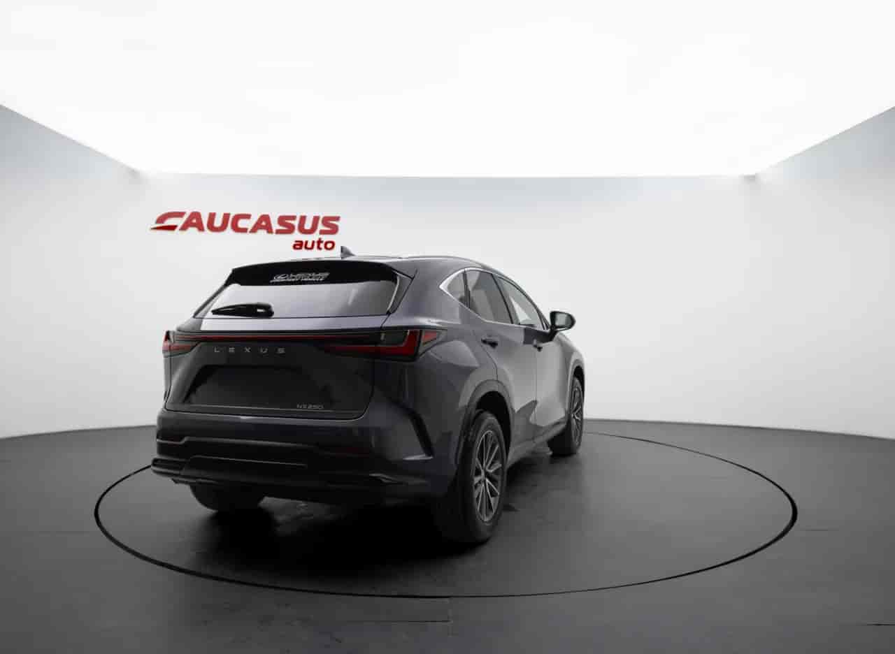 LEXUS NX - 4