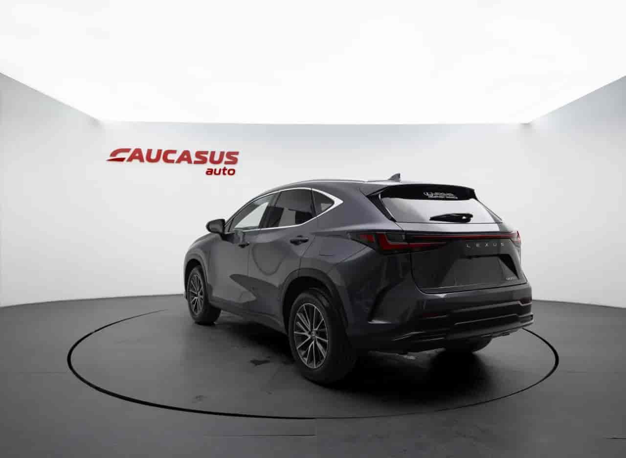 LEXUS NX - 6