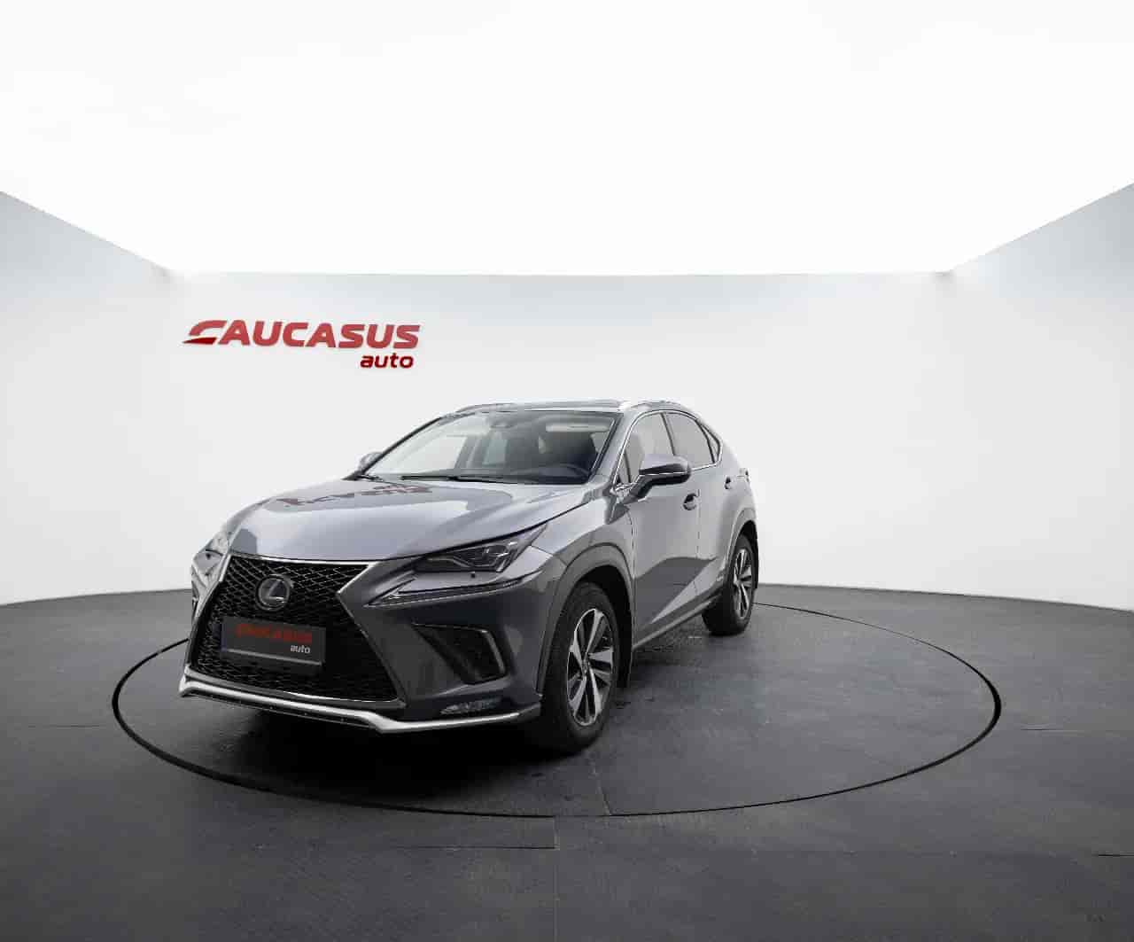 LEXUS NX - 1