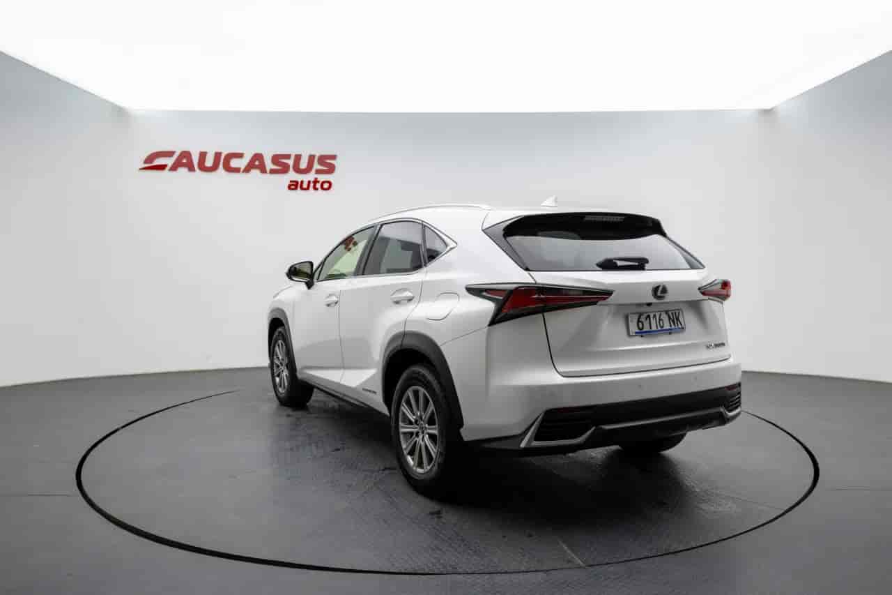 LEXUS NX - 6