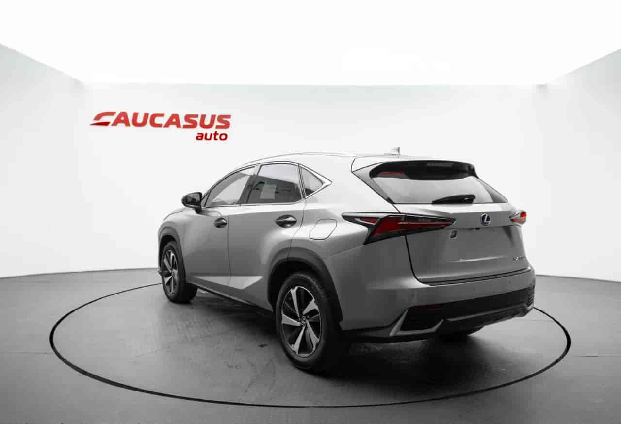 LEXUS NX - 6