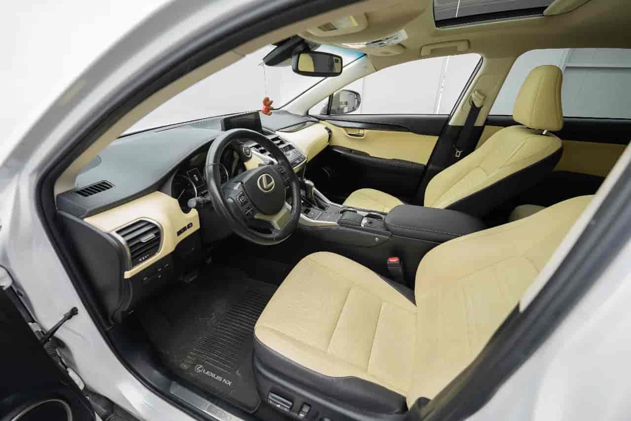 LEXUS NX - 10